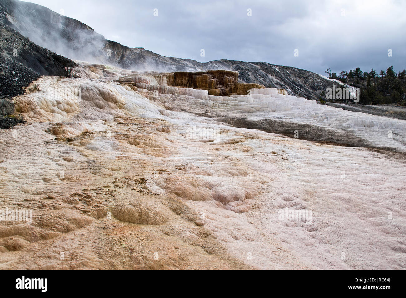 Mammoth Hot Springs Foto Stock