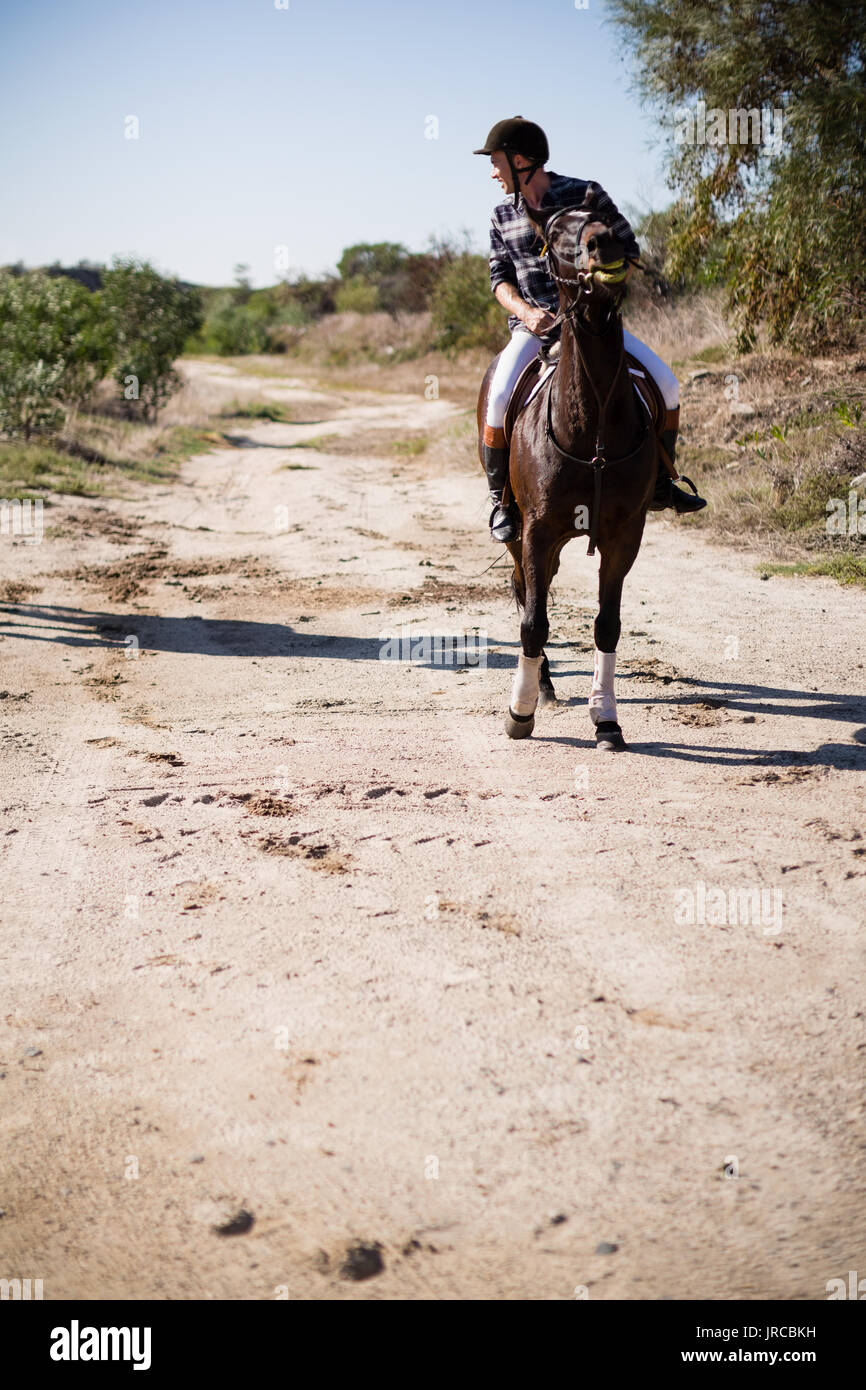 Jockey maschio in sella ad un cavallo in una giornata di sole Foto Stock