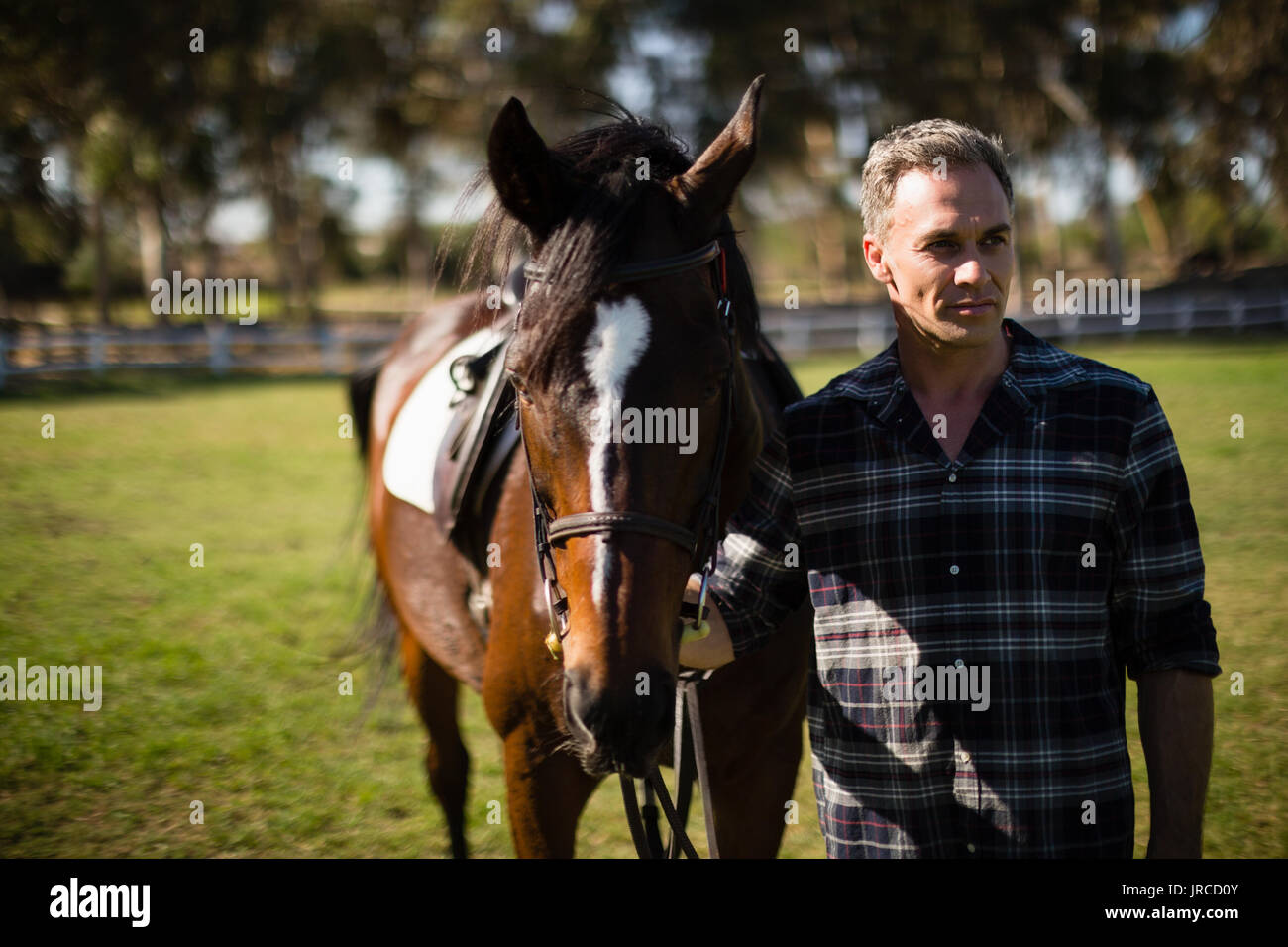 Uomo in piedi con cavallo al ranch in una giornata di sole Foto Stock