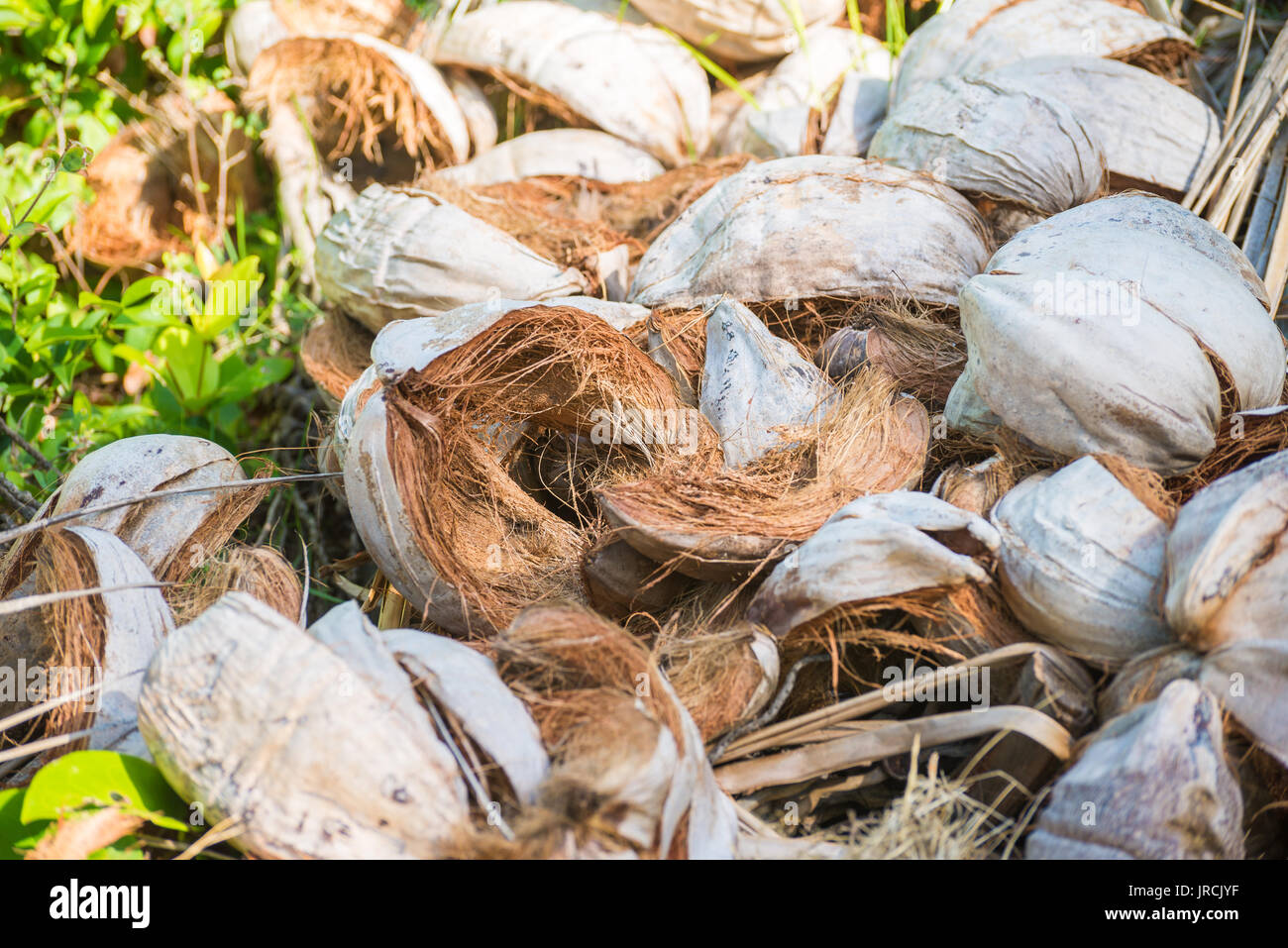 Abstract colpo di gusci di noce di cocco con diversi toni di marrone Foto Stock