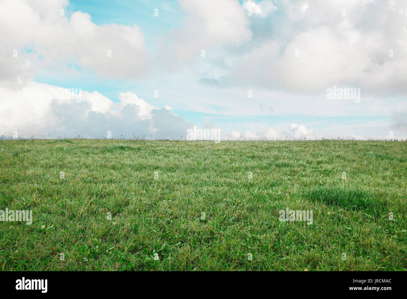 Campo, erba verde con le nuvole e il cielo Foto Stock