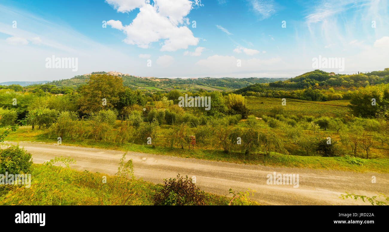 Valle Verde in Toscana, Italia Foto Stock