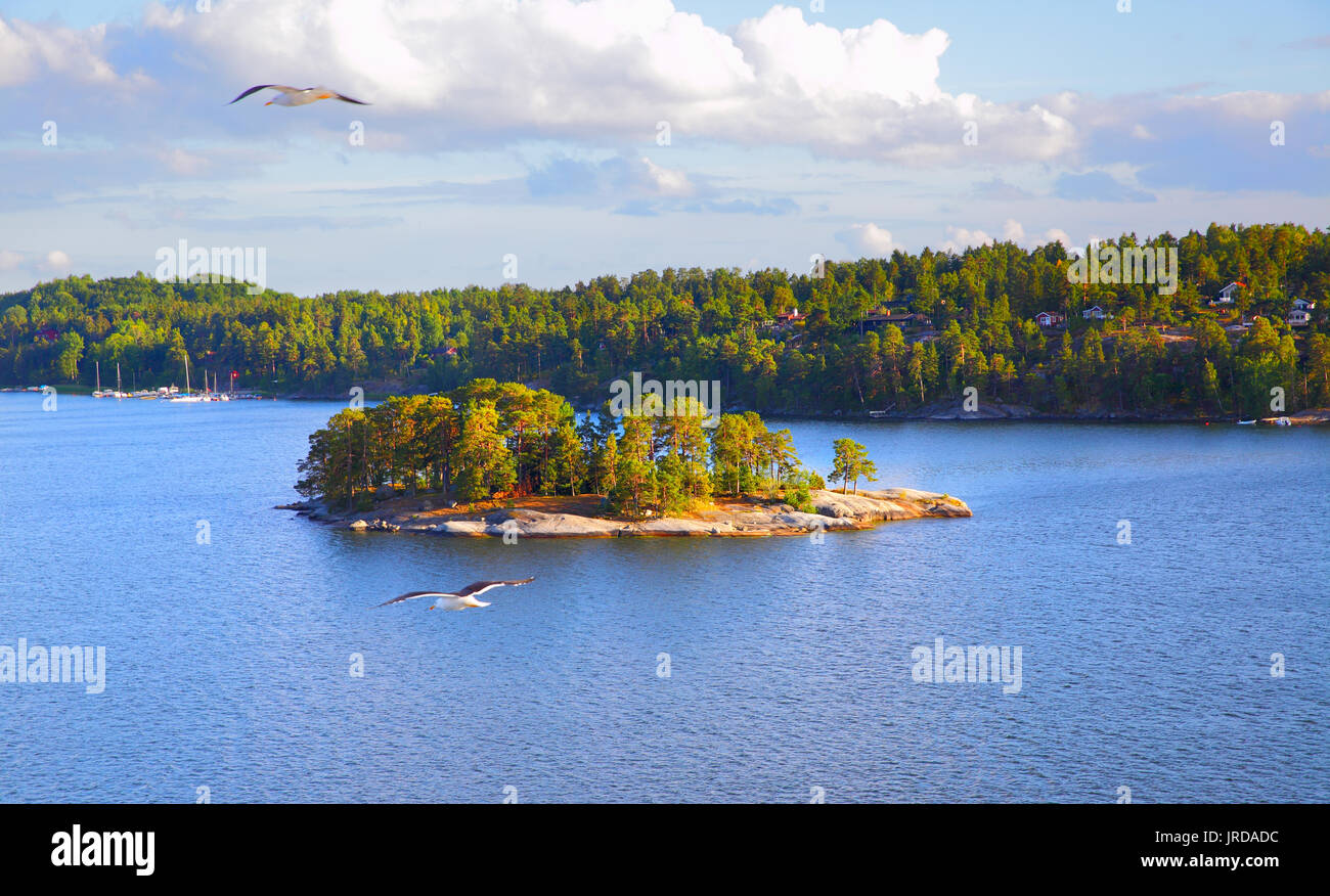 Vista panoramica delle piccole isole dell'arcipelago di Stoccolma. La Svezia. Paesaggio di acqua Foto Stock