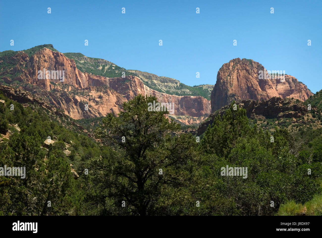 Kolob Canyon a Zion National Park nello Utah Springdale USA. Foto Stock