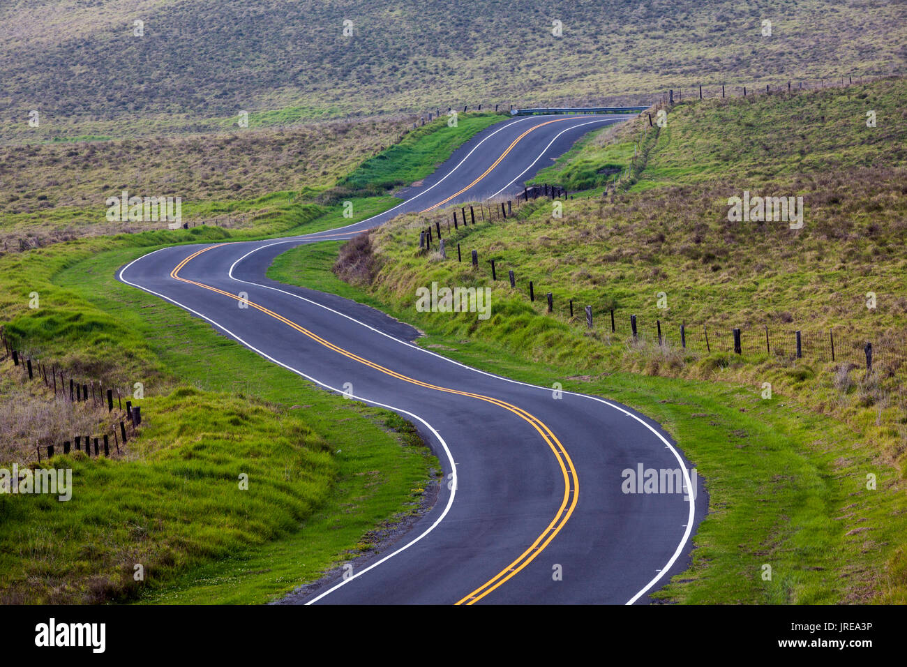 HI00398-00...HIWAI'I - Il Mana Wiaimea Road sull isola di Hawai'i. Foto Stock