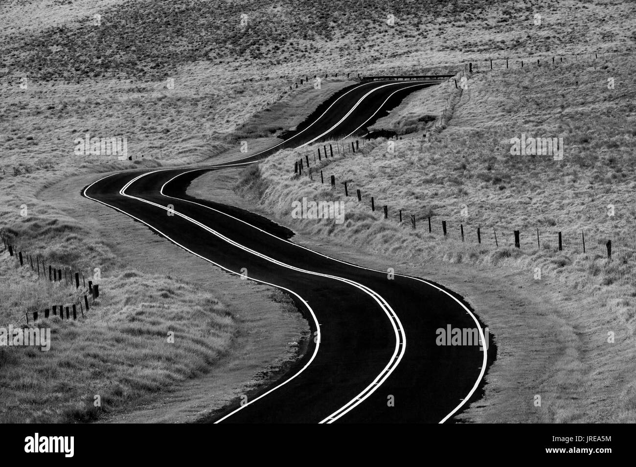 HI00398-01...HIWAI'I - Il Mana Wiaimea Road sull isola di Hawai'i. Foto Stock