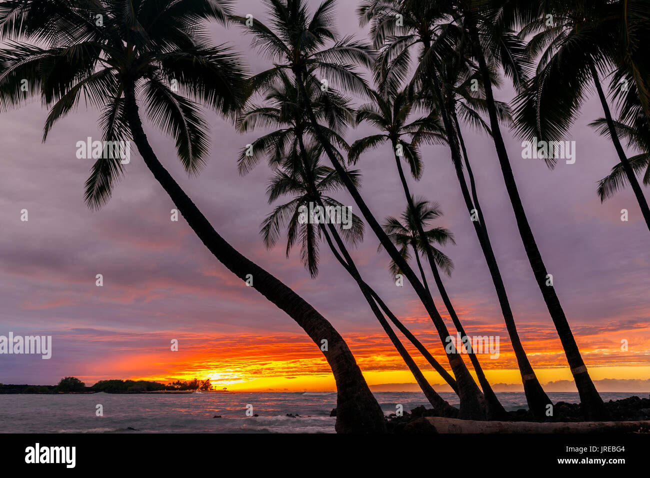 HI00463-00...Hawai'i - tramonto sull'Oceano Pacifico da Kekaha Kai State Park lungo la costa di Kona sull isola di Hawai'i. Foto Stock