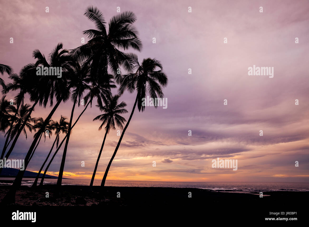 HI00473-00...Hawai'i - Sunrise a Pu'uhonua o Honaunau National Historic Park sull'isola delle Hawai'i. Foto Stock