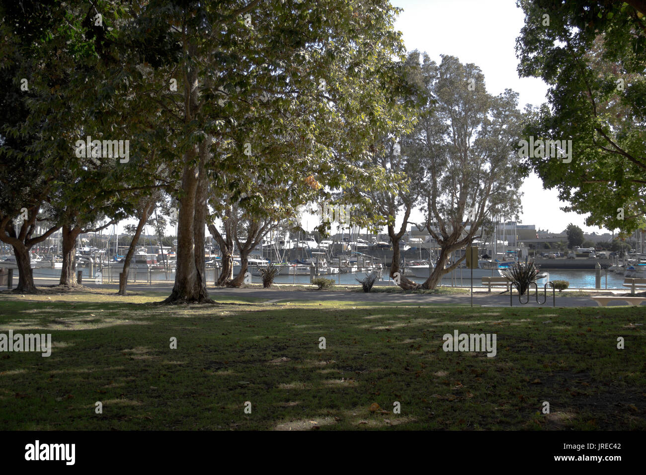 Un parco ombreggiato si affaccia su parte della Marina Del Rey , California. Foto Stock