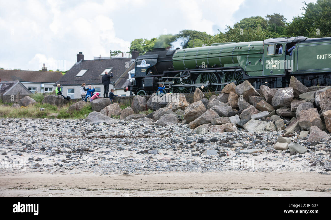 Spiaggia di Ferryside, Wales, Regno Unito. 05 Ago, 2017. Un'escursione in treno trainato da locomotiva a vapore "Tornado' Pacific 60163 passando al di sopra di Ferryside Beach, Carmarmarthenshire, Wales, Regno Unito, Europa. Viaggio organizzato da Pathfinder Tours. Questo 'Towy Tornado' viaggio/tour è stata da Bristol lungo South Wales coast e Towy Estuary, dove la fotografia è stata scattata. Fino a città mercato di Carmarthen, prima di rientrare a Bristol più tardi nel pomeriggio. Credito: Paolo Quayle/Alamy Live News Credito: Paolo Quayle/Alamy Live News Foto Stock