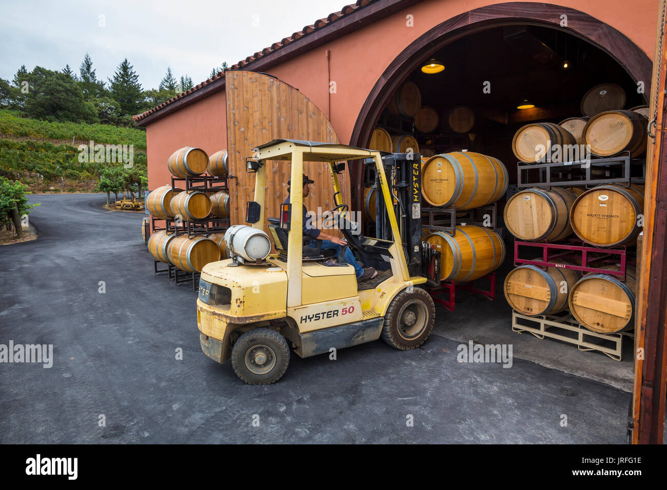 Cantina lavoratore, la fermentazione del vino, area di fermentazione, Barnet vigneti, Spring Mountain Road, Saint Helena, la Valle di Napa NAPA County, California Foto Stock