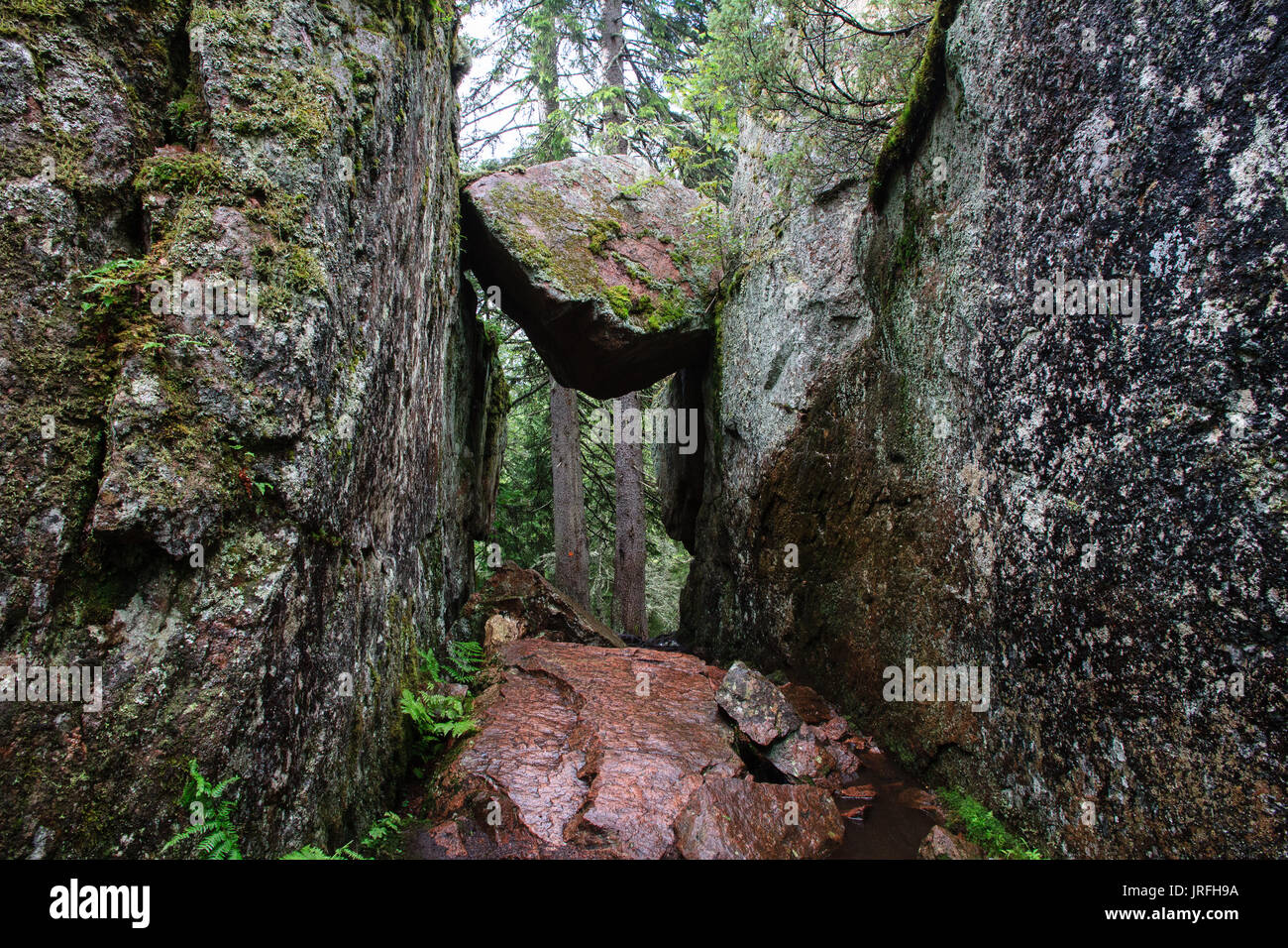 Trollporten (il Troll porta) formazione di roccia in Skuleskogen National Park, sulla svedese costa alta. Un masso di granito sospeso sopra il canyon. Foto Stock