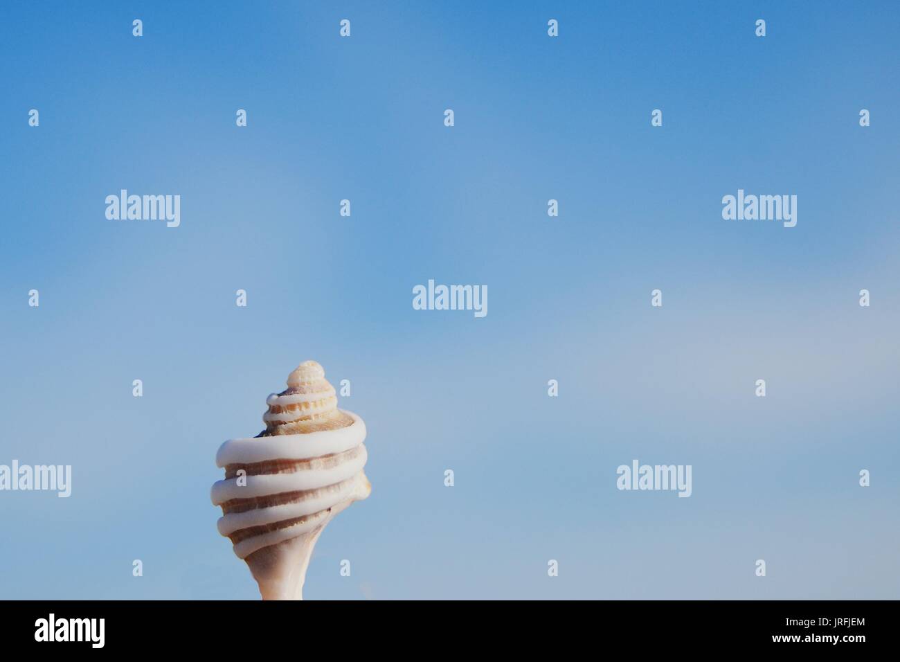 Un bianco guscio curvo contro il cielo blu con nuvole Foto Stock