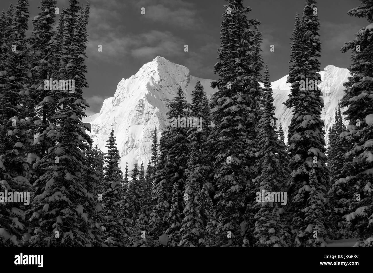 Nexus picco in inverno da Mistya Lodge, montagne rocciose, British Columbia, Canada Foto Stock