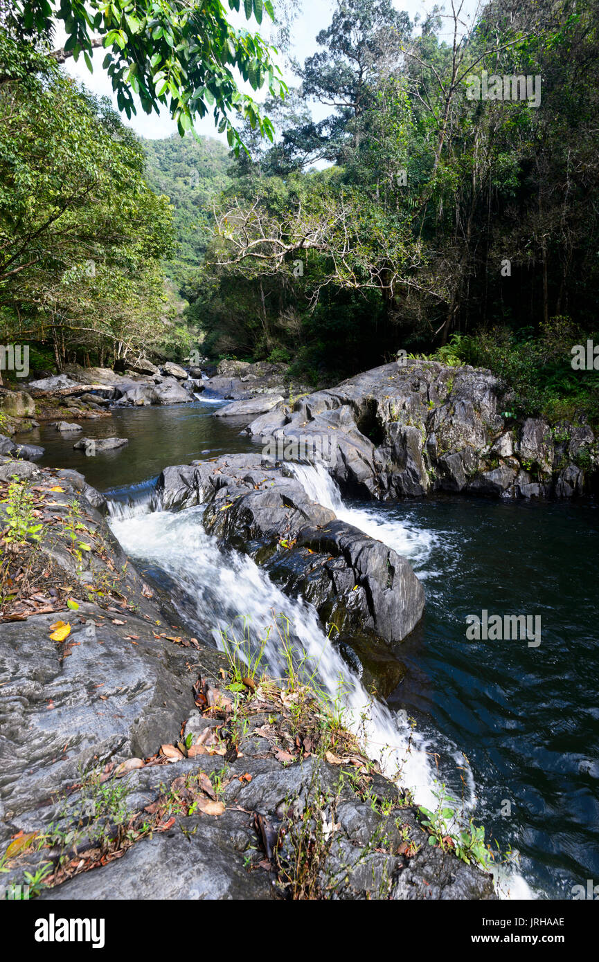 Cascate di cristallo, Cairns, estremo Nord Queensland, FNQ, QLD, Australia Foto Stock