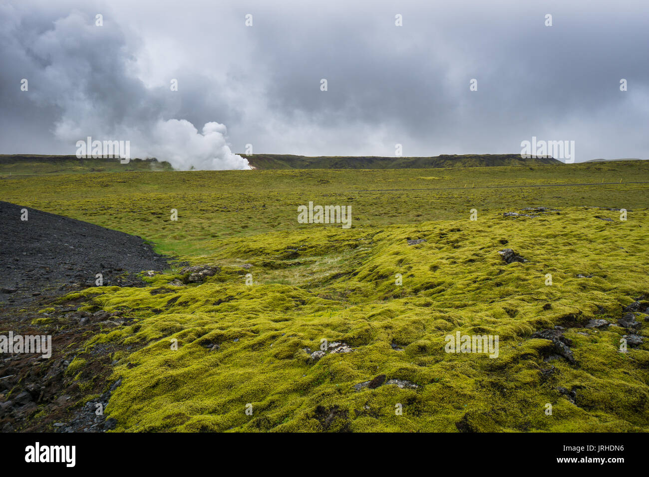 Islanda - Verde muschio coperto campo di lava con energia geotermica Foto Stock