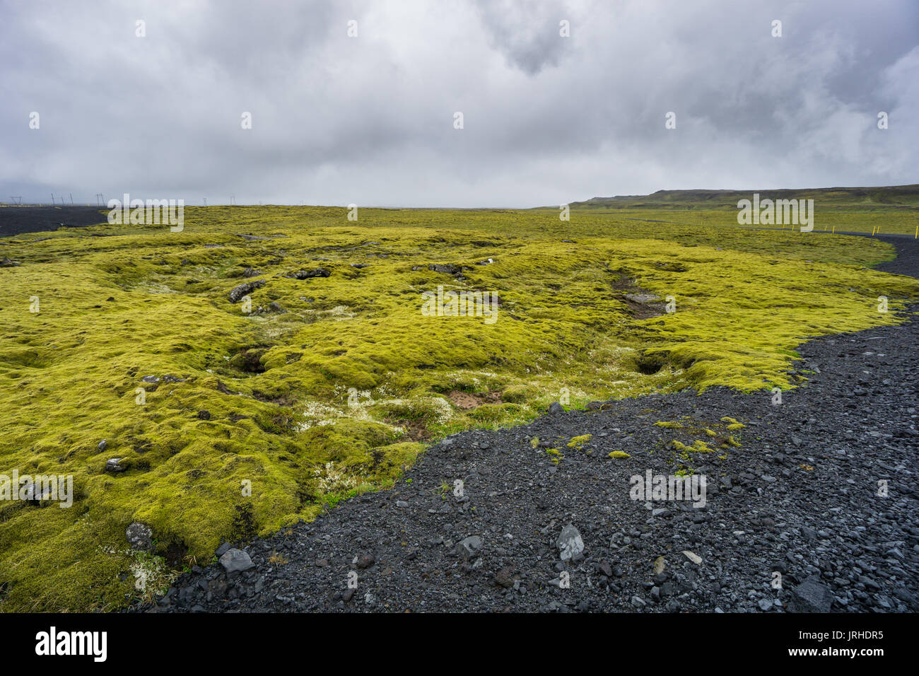 Islanda - Verde muschio i campi di lava e pietre scure Foto Stock