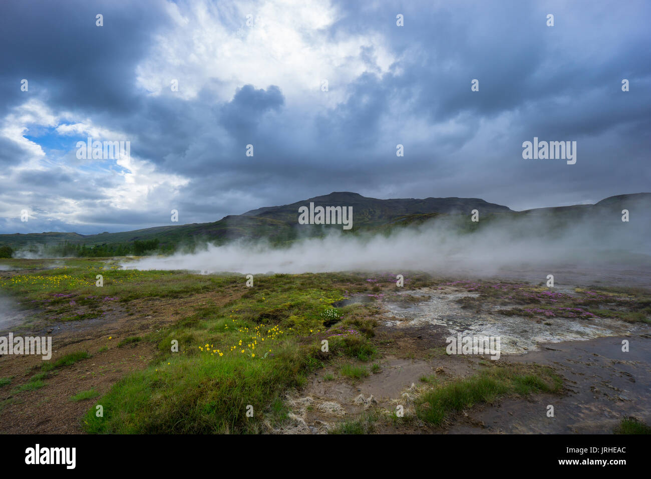 Islanda - terra di cottura a vapore di area geotermale di geyser Strokkur Foto Stock