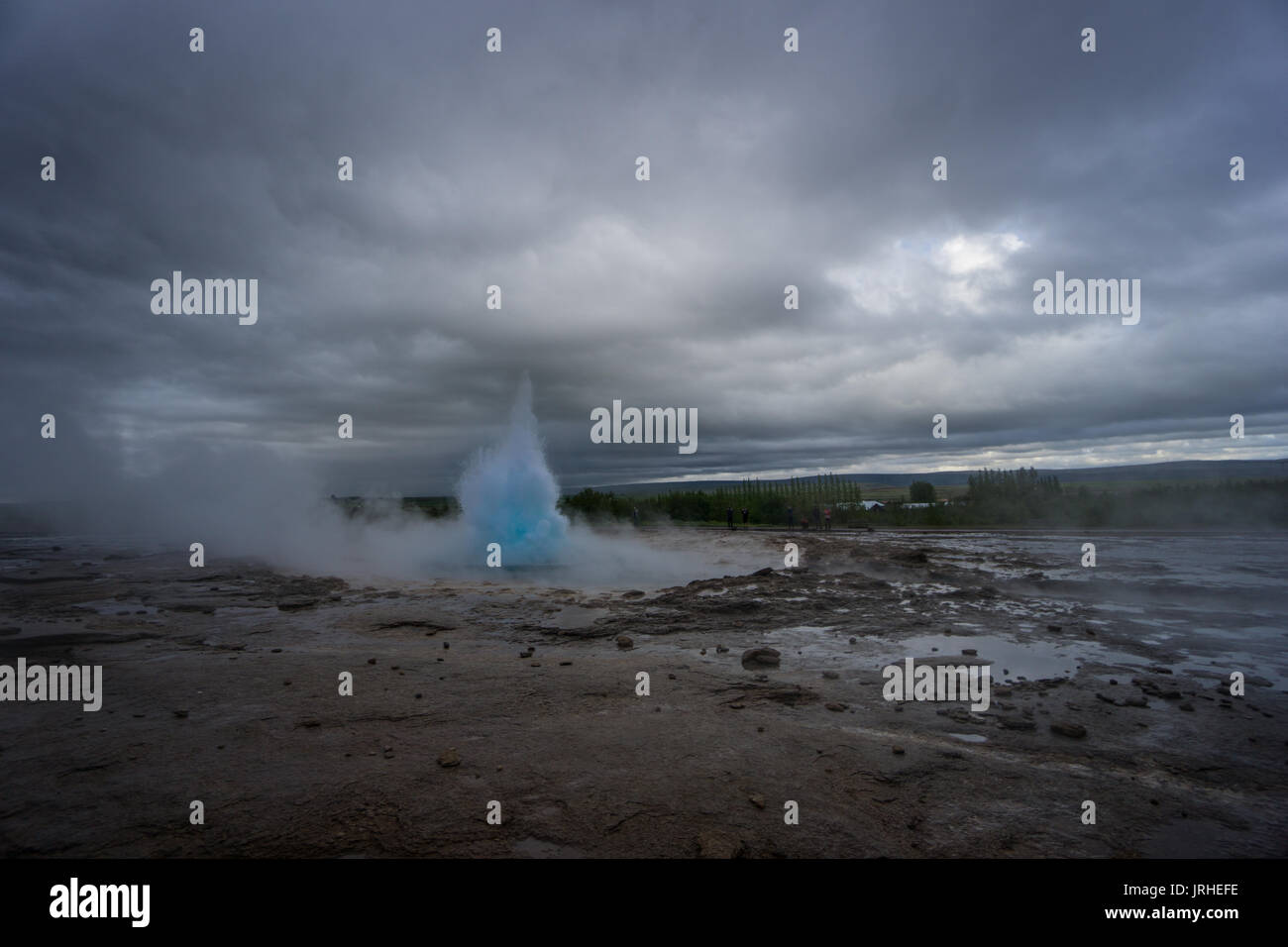 Islanda - turchese hot acqua bollente, inizio di Eruzione del geyser strokkur con alberi Foto Stock