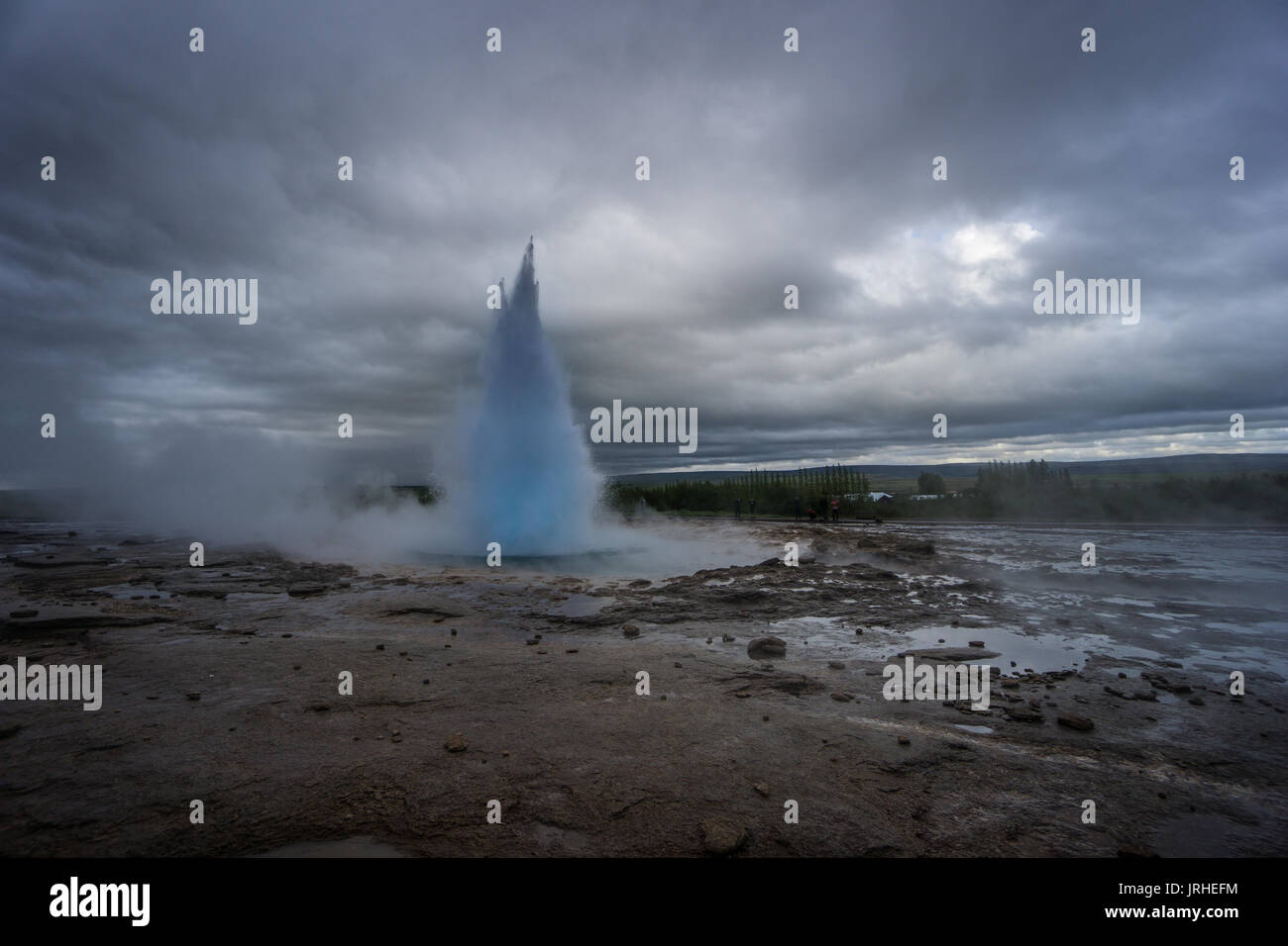 Islanda - turchese hot acqua bollente, vertice dell eruzione del geyser strokkur con alberi Foto Stock
