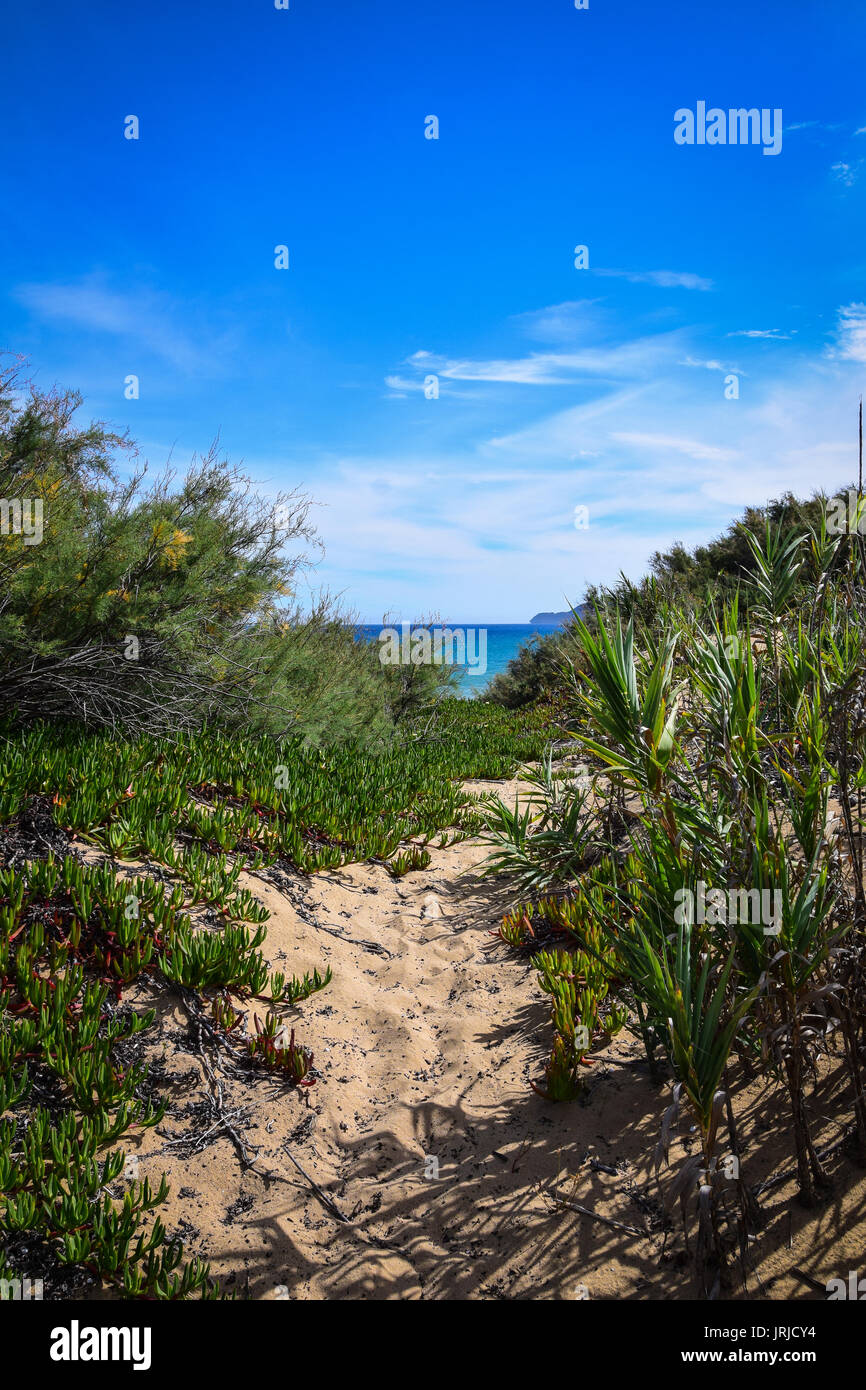 Guardando attraverso le dune di sabbia verso il turchese Oceano Atlantico in Porto Santo, Portogallo Foto Stock