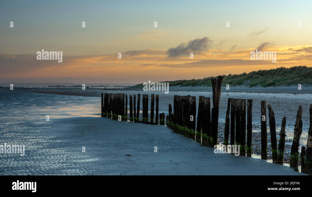 Vecchio groyne posti sulla West Wittering spiaggia ad alba con dune di sabbia in background, West Sussex, in Inghilterra Foto Stock