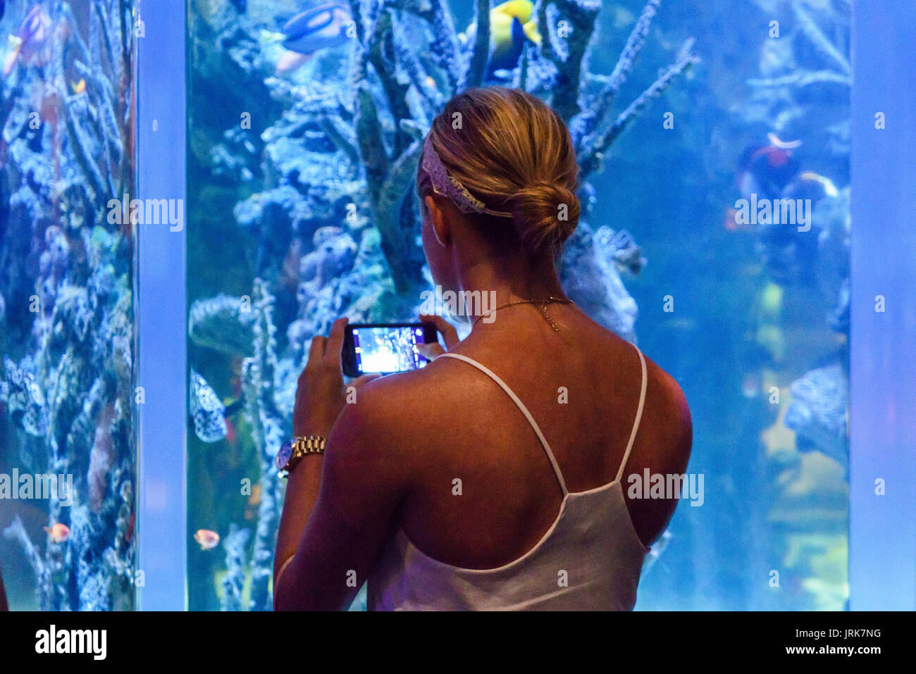 I visitatori di Mystic Aquarium & Istituto di esplorazione Foto Stock