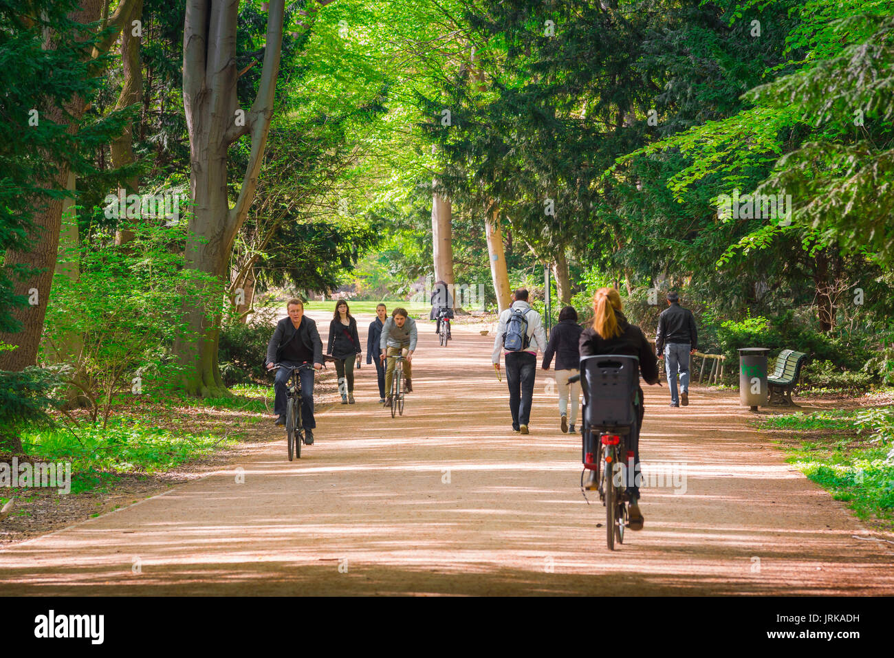 Parco ciclistico di Berlino, vista dei ciclisti nel centro di Berlino utilizzando una delle ampie piste ciclabili del parco Tiergarten, in Germania. Foto Stock