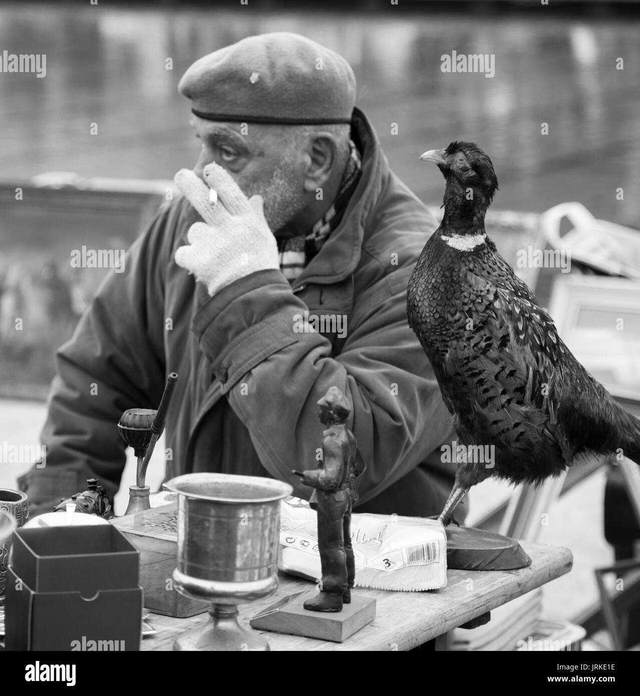 Un annoiato stoall titolare in un mercato di Budapest accidentalmente imita la linea di vista dell'uccello ripiene alla sua sinistra. Foto Stock