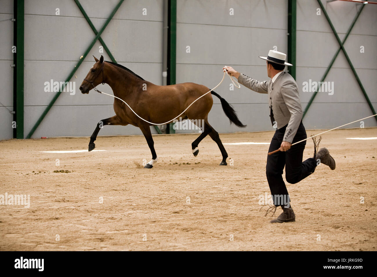 Prova equestre di morfologia per puro cavalli spagnoli, Spagna Foto Stock