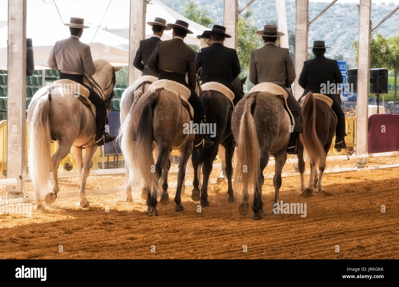 Il gruppo di cavalieri montati sulle loro spalle dopo il dressage mostra in denim Andujar, Provincia di Jaen, Andalusia, Spagna Foto Stock