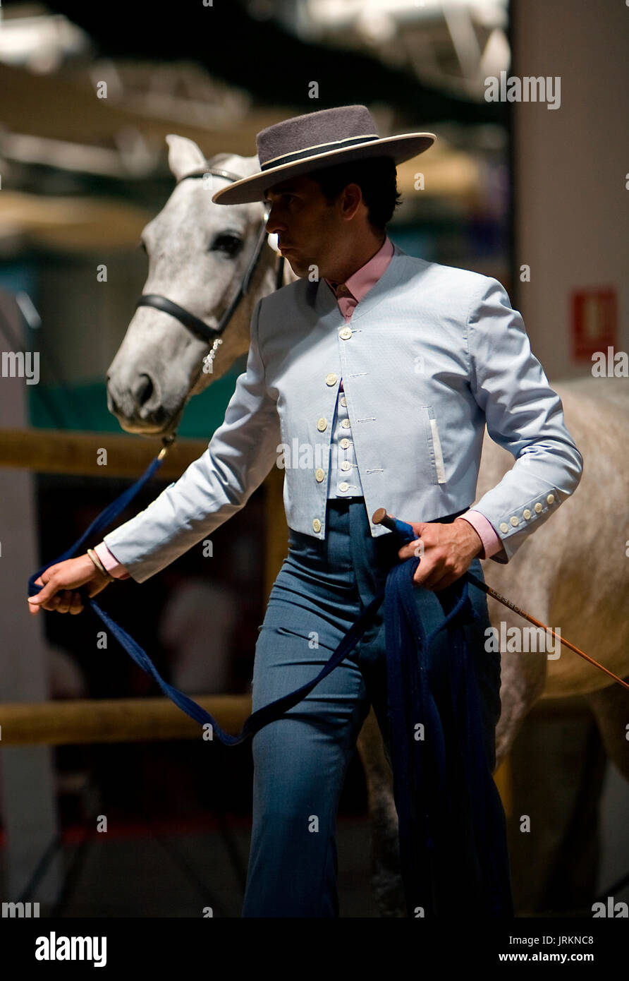 Prova equestre di morfologia per puro cavalli spagnoli, Spagna Foto Stock