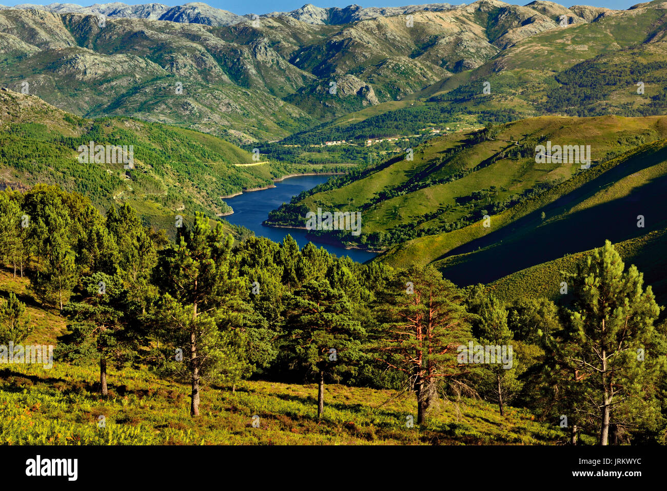 Vista del paesaggio con montagne, colline verdi e un barrage surroundet da alberi di pino Foto Stock