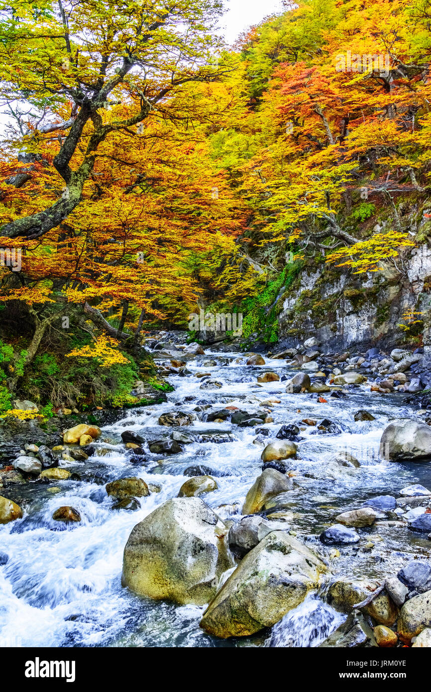 Torres del Paine, Patagonia, Cile - Patagonia meridionale del campo di ghiaccio, magellanes regione del sud america Foto Stock