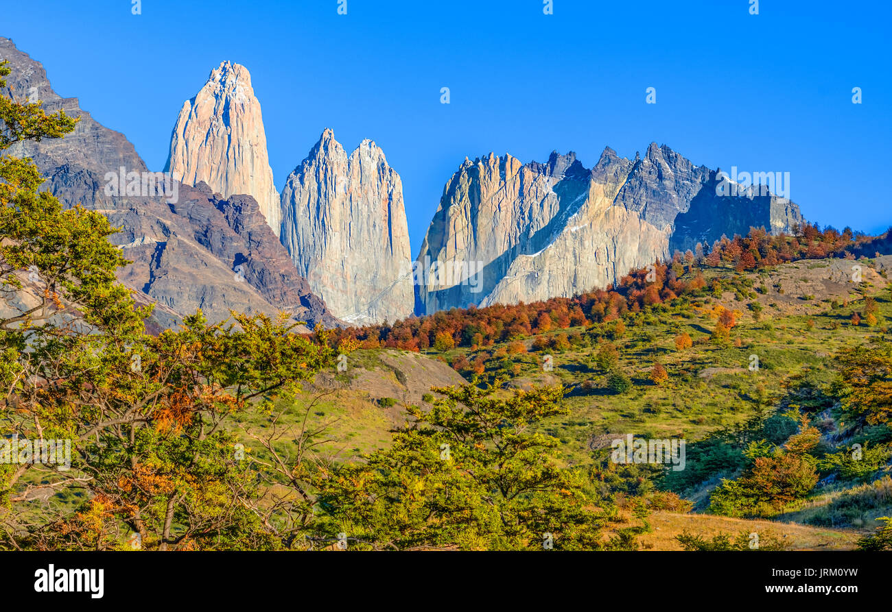 Torres del Paine, Patagonia, Cile - Patagonia meridionale del campo di ghiaccio, magellanes regione del sud america Foto Stock