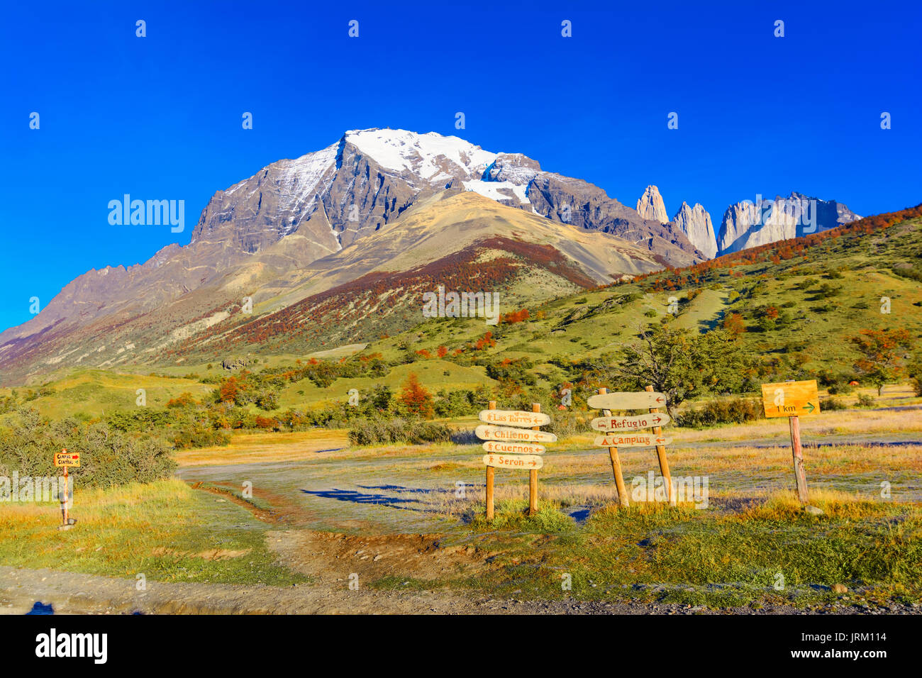 Torres del Paine, Patagonia, Cile - Patagonia meridionale del campo di ghiaccio, magellanes regione del sud america Foto Stock