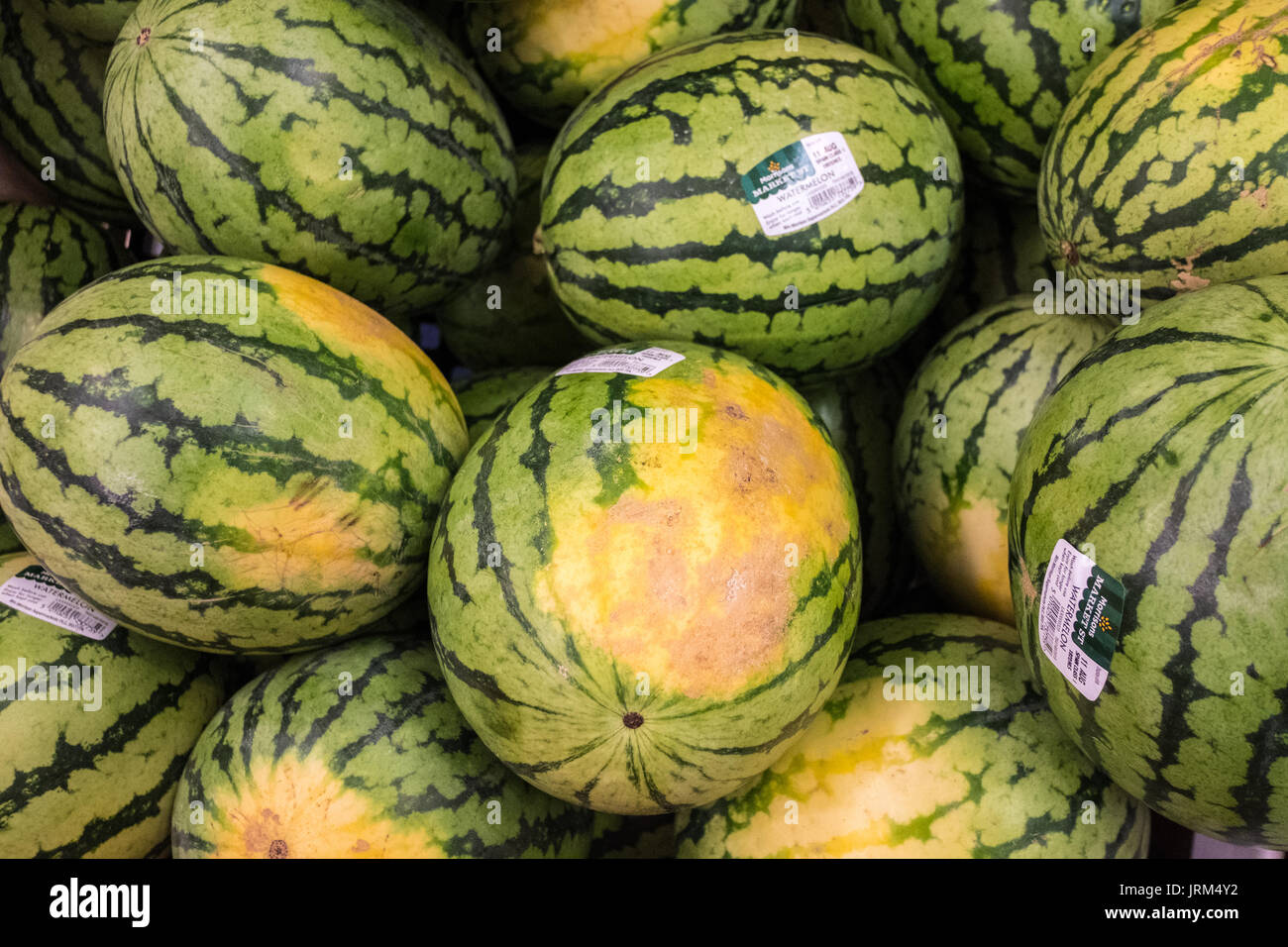 Freschi cocomeri per la vendita in un supermercato. Foto Stock