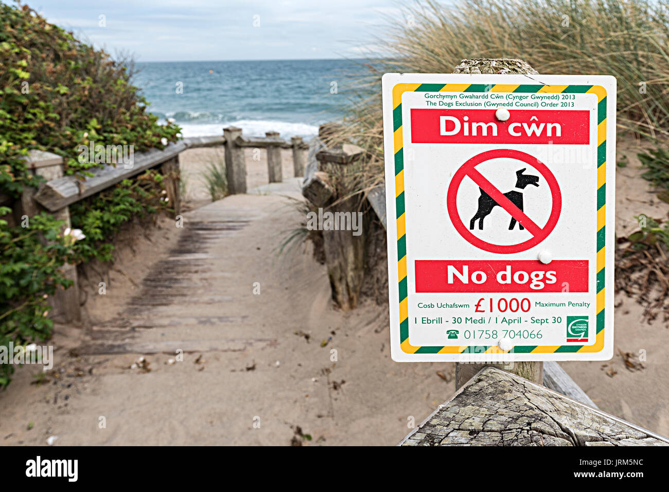 No cani sulla spiaggia segno, Pwllheli, Lleyn Peninsula, Wales, Regno Unito Foto Stock