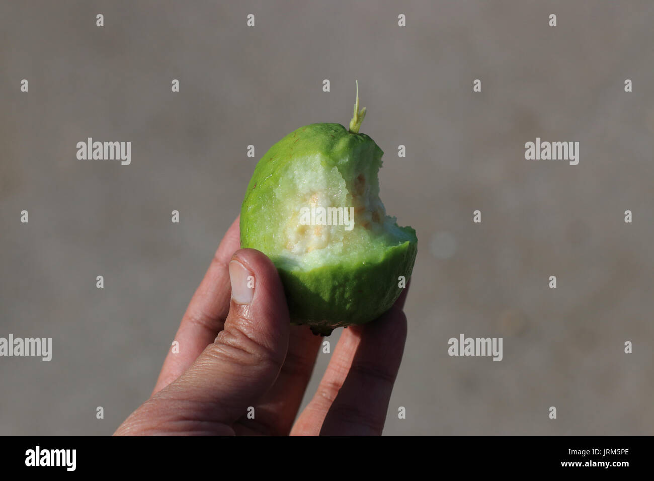 In prossimità di metà mangiato Psidium guajava Foto Stock