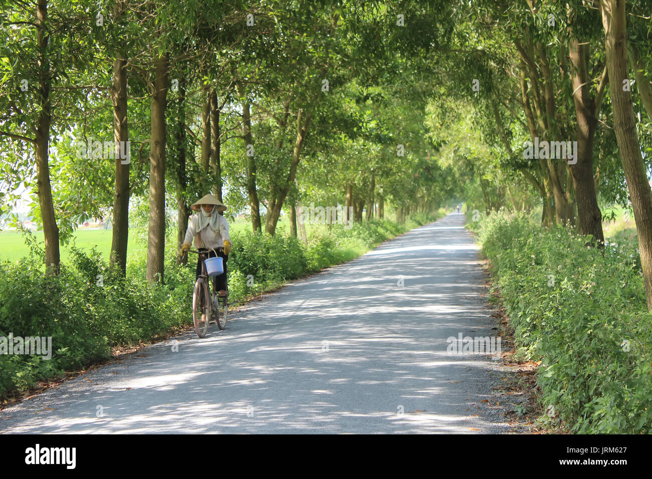 HAI DUONG, Vietnam, Agosto 26: donna asiatica in sella ad una bicicletta su strada il 26 agosto 2014 di Hai Duong, Vietnam. Foto Stock