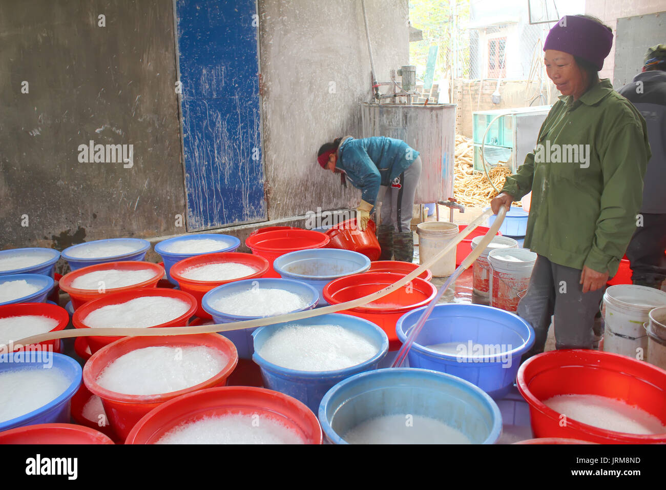 Haiduong, Vietnam, 10 febbraio: persone trasformazione Kudzu farina su febbraio, 10, 2015 di Hai Duong, Vietnam Foto Stock