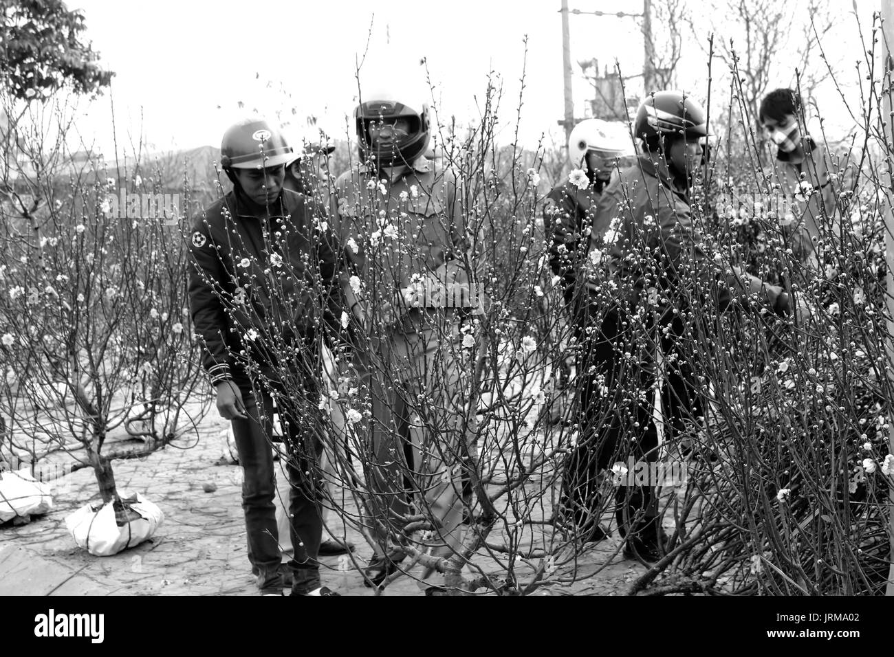 HAI DUONG, Vietnam, aprile, 10: uomo asiatico fiori di acquisto sul mercato in aprile, 10 di Hai Duong, Vietnam. Foto Stock