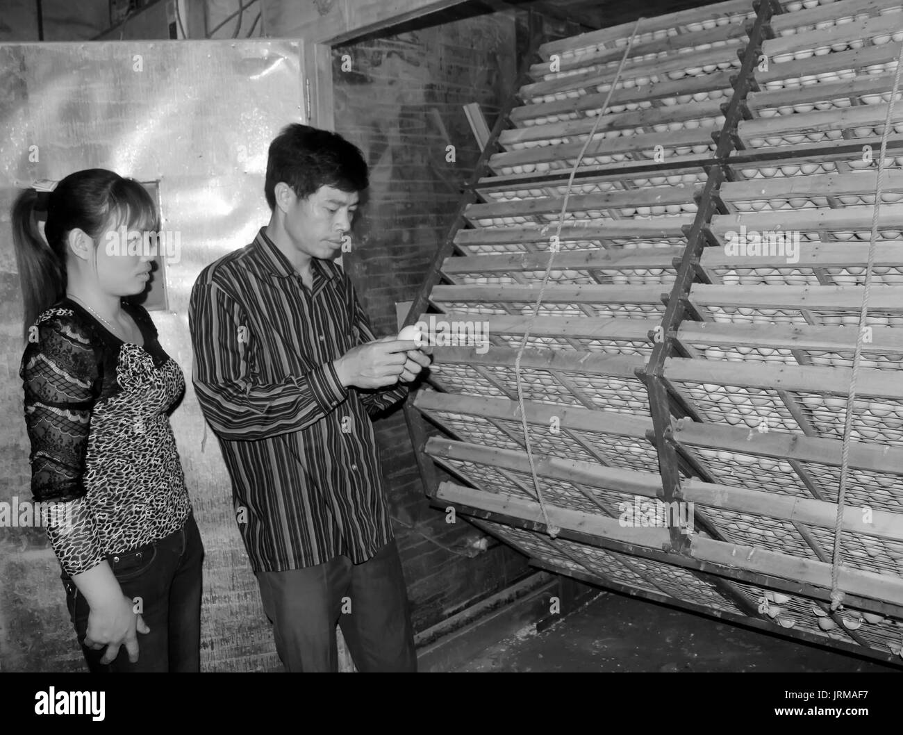 HAI DUONG, Vietnam, luglio, 28: l'agricoltore vietnamita per controllare le uova in incubatrice a luglio, 28 2013 di Hai Duong, Red River Delta, Vietnam. Foto Stock
