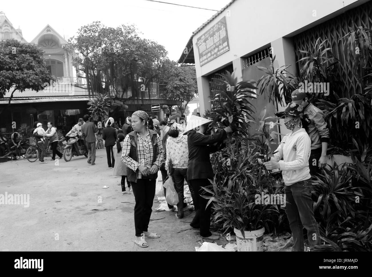 HAI DUONG, Vietnam, aprile, 10: uomo asiatico fiori di acquisto sul mercato in aprile, 10 di Hai Duong, Vietnam. Foto Stock