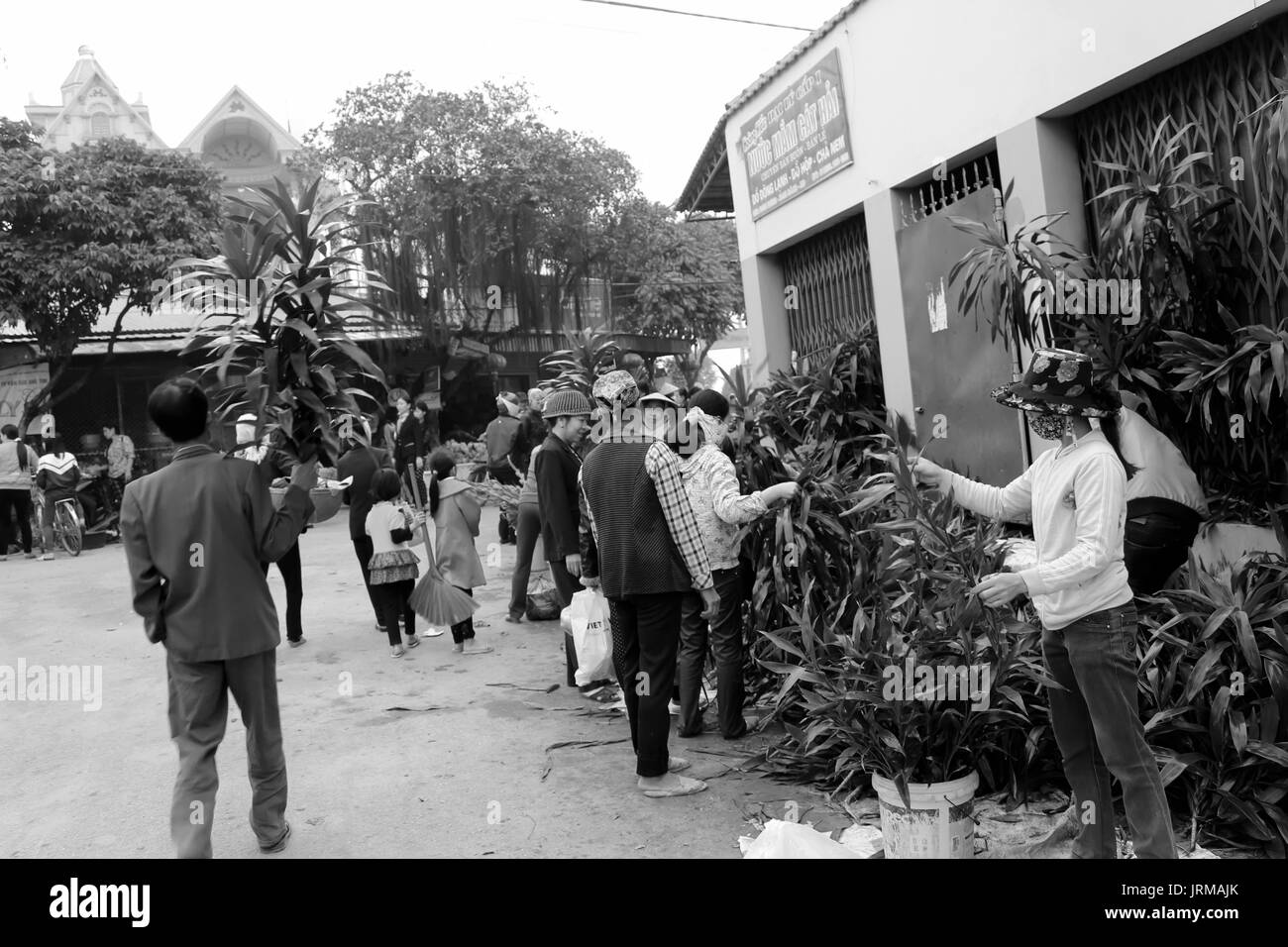 HAI DUONG, Vietnam, aprile, 10: donna asiatica che vendono fiori sul mercato in aprile, 10 di Hai Duong, Vietnam. Foto Stock