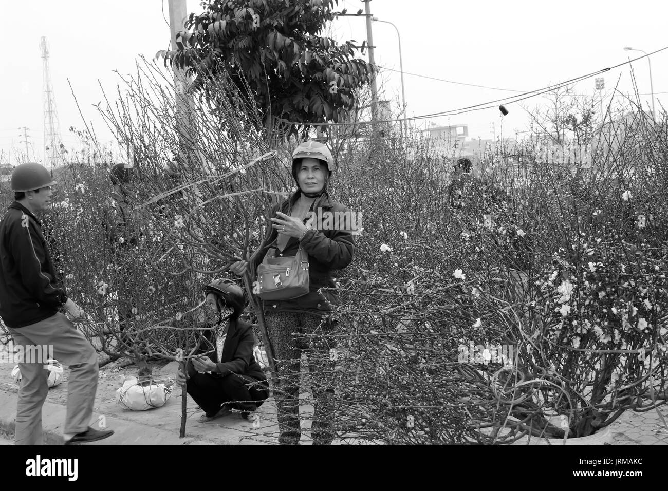 HAI DUONG, Vietnam, aprile, 10: donna asiatica che vendono fiori sul mercato in aprile, 10 di Hai Duong, Vietnam. Foto Stock
