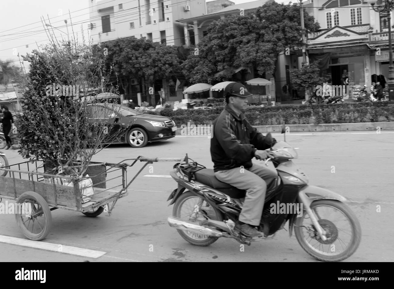 HAI DUONG, Vietnam, aprile, 10: uomo asiatico fiori di acquisto sul mercato in aprile, 10 di Hai Duong, Vietnam. Foto Stock