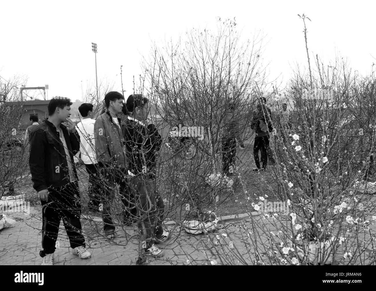 HAI DUONG, Vietnam, aprile, 10: uomo asiatico fiori di acquisto sul mercato in aprile, 10 di Hai Duong, Vietnam. Foto Stock