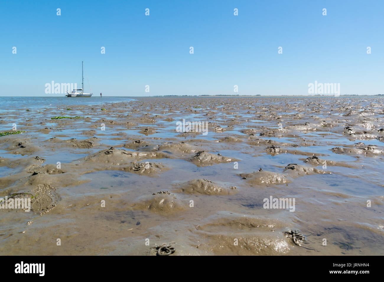 Panorama della piana di fango con colate di lugworm e asciugata in barca a vela con la bassa marea su Waddensea, Paesi Bassi Foto Stock
