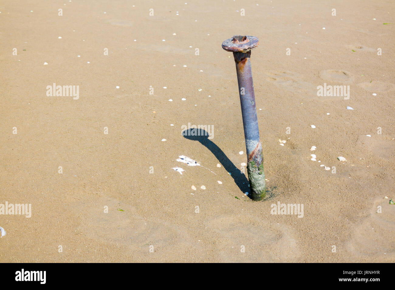 Vecchio di ferro arrugginito pole con ombra e escrementi sulla sabbia della spiaggia di costa del Mare del Nord, Paesi Bassi Foto Stock